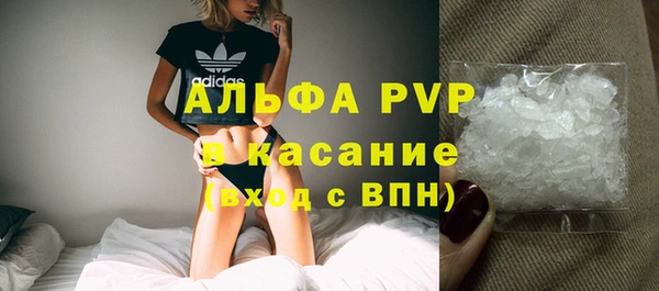 spice Богородицк