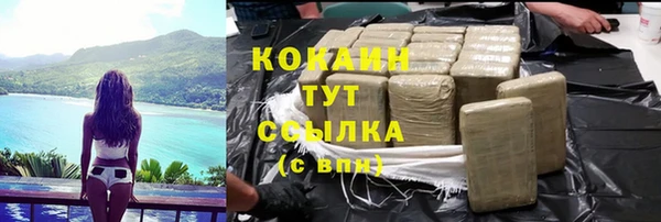 spice Богородицк