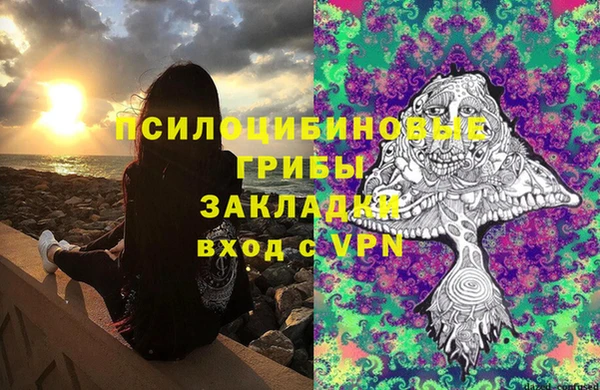 mdpv Богородск