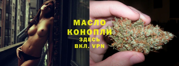 spice Богородицк