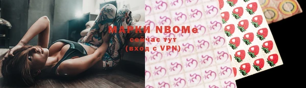 spice Богородицк
