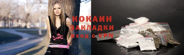 spice Богородицк
