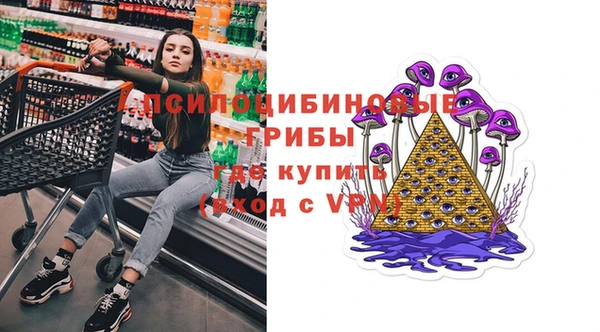 mdpv Богородск