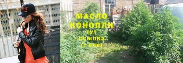 spice Богородицк