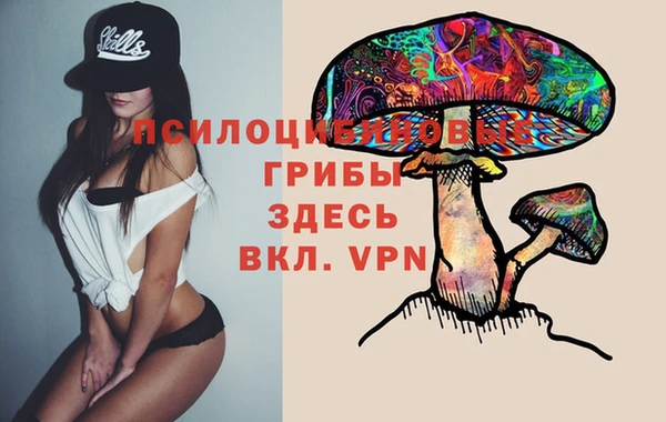 бошки Богданович