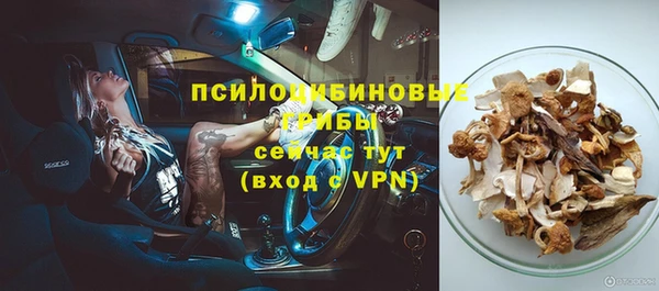 mdpv Богородск