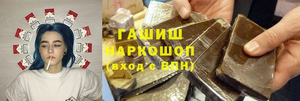 spice Богородицк
