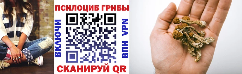 Галлюциногенные грибы мицелий  hydra ссылки  Тамбов 